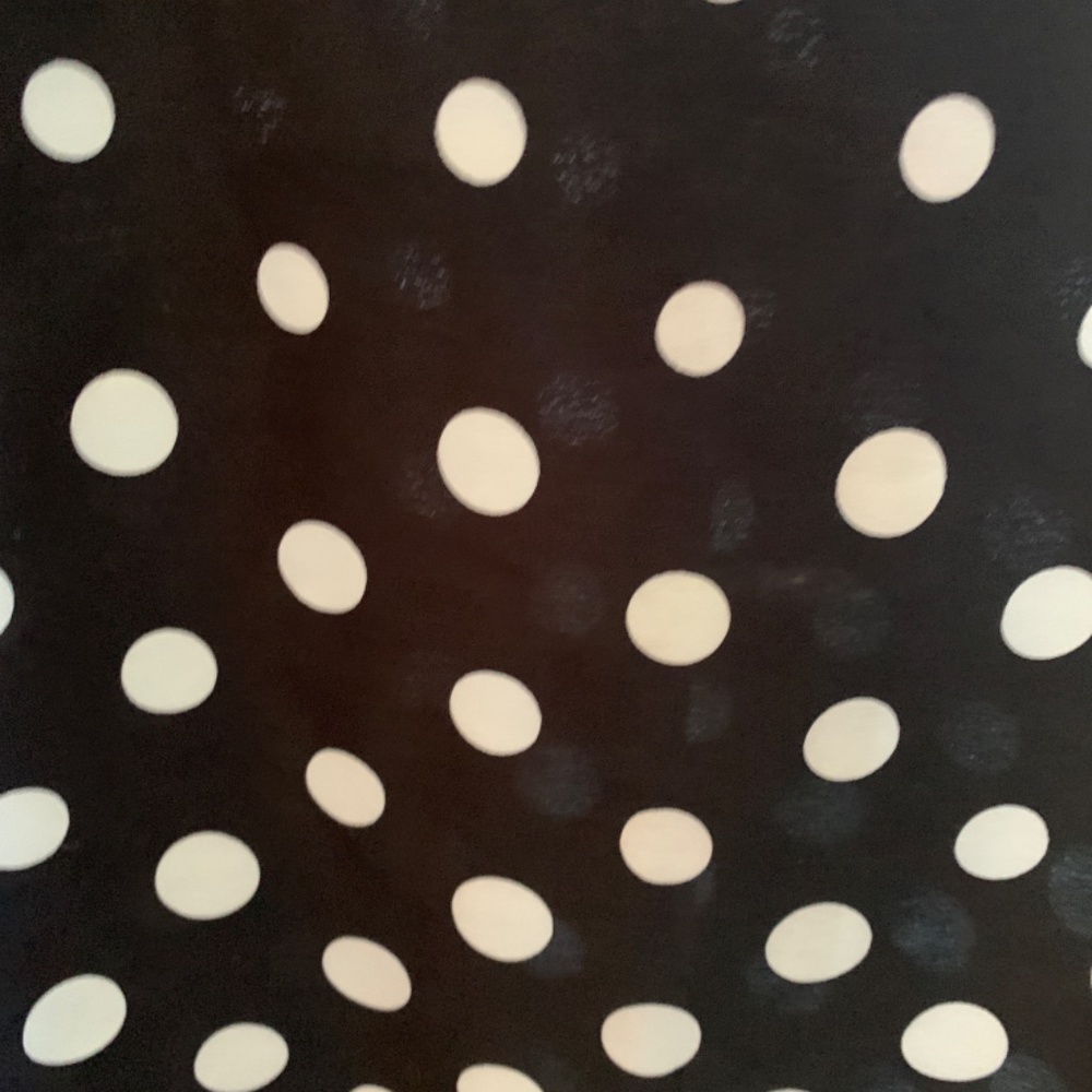 Talbots increasing size polka dot‎ blouse. Never worn - Picture 3 of 4